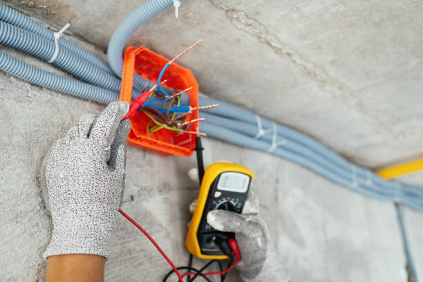 Best Electrical Rewiring Services  in Lake Barrington, IL
